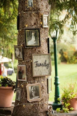 Family memory tags displayed on a tree at an outdoor garden party family reunion — illustrative of family reunion celebrations and private events at Weir Bank Estate, Bray-on-Thames, Berkshire.