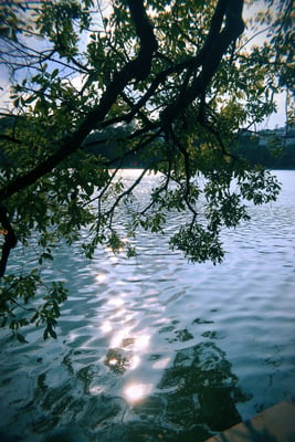river scene resized